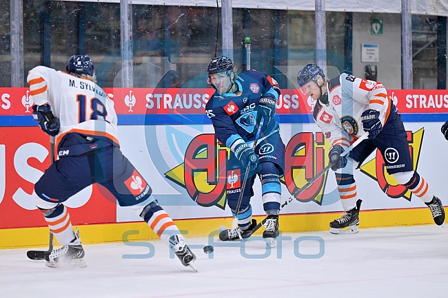 Eishockey, Mens, CHL, Season 2023-2024, ERC Ingolstadt - Växjö Lakers, 14.11.2023