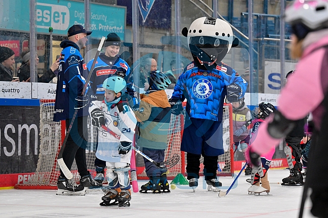 Eishockey, Saison 2025-2026, ERC Ingolstadt - Kids On Ice Day, 10.01.2026