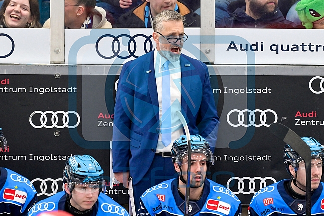 Eishockey, Herren, DEL, Saison 2025-2026, Spiel 40, ERC Ingolstadt - Straubing Tigers, 16.01.2026