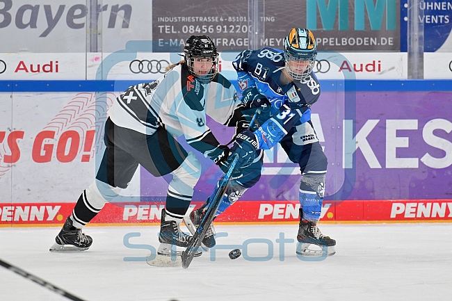 Eishockey, Frauen, DFEL, Saison 2023-2024, ERC Ingolstadt - Amsterdam Tigers, 06.01.2024