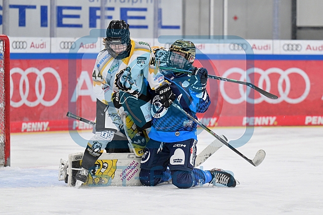 Eishockey, Frauen, DFEL, Saison 2024-2025, ERC Ingolstadt - Mad Dogs Mannheim, 23.11.2024