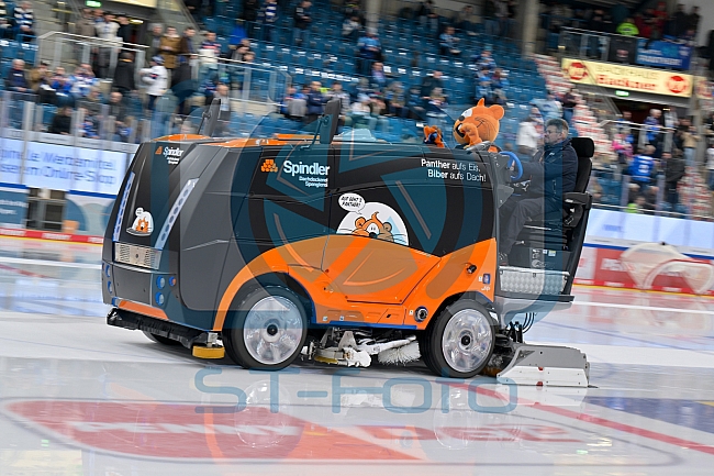 Eishockey, Herren, DEL, Saison 2025-2026, Spiel 21, ERC Ingolstadt - Pinguins Bremerhaven, 23.11.2025