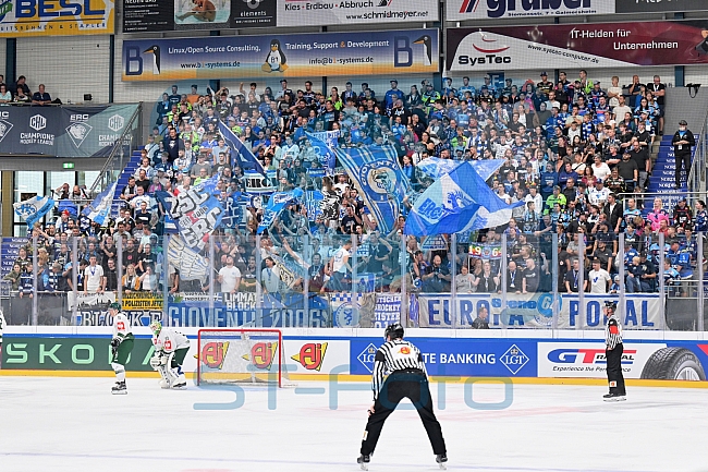 Eishockey, Mens, CHL, Season 2023-2024, ERC Ingolstadt - Färjestad Karlstad, 02.09.2023