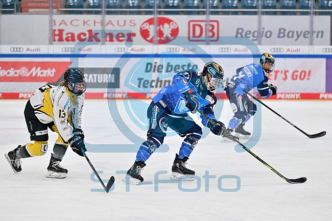Eishockey, Frauen, DFEL, Saison 2023-2024, ERC Ingolstadt - Mad Dogs Mannheim, 18.02.2024