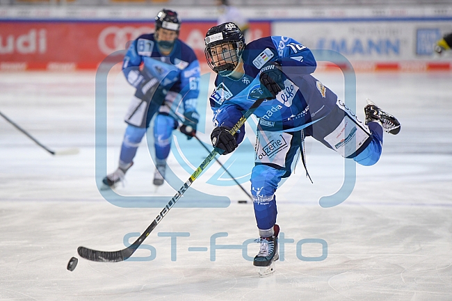 Eishockey, Frauen, DFEL, Saison 2020-2021, ERC Ingolstadt - Mad Dogs Mannheim, 30.01.2021