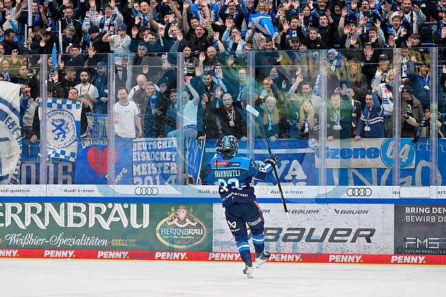 Eishockey, Herren, DEL, Saison 2025-2026, Spiel 43, ERC Ingolstadt - Schwenninger Wild Wings, 25.01.2026