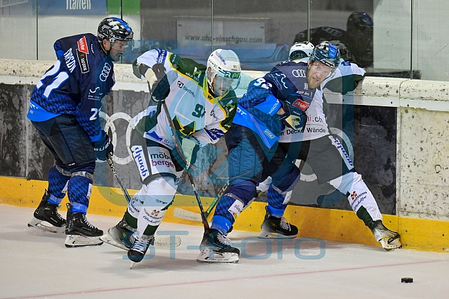 Eishockey, Herren, DEL, Saison 2024-2025, EHC Olten - ERC Ingolstadt, 25.08.2024