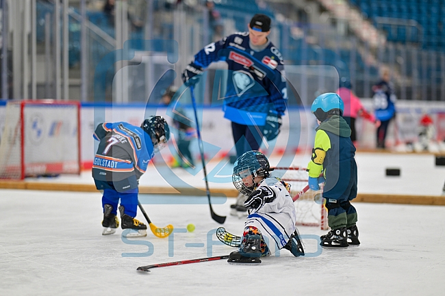 Eishockey, Herren, DEL, Saison 2024-2025, ERC Ingolstadt - Kids On Ice Day, 21.09.2024