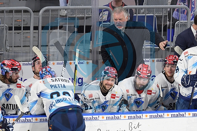 Eishockey, Herren, DEL, Saison 2020-2021, Adler Mannheim - ERC Ingolstadt, 24.01.2021