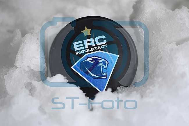 ERC Ingolstadt vs Adler Mannheim, Eishockey, DEL, Deutsche Eishockey Liga, Spieltag 46, 10.02.2017