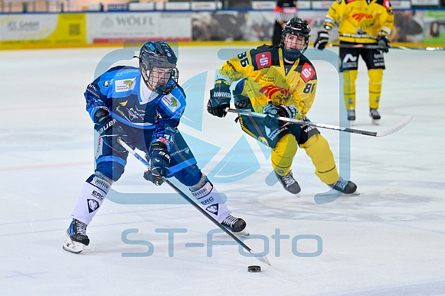 Eishockey, Herren, U20 DNL, Saison 2025-2026, Halbfinale - Spiel 2, ERC Ingolstadt - Krefelder EV 81, 15.03.2026