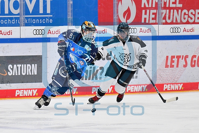 Eishockey, Frauen, DFEL, Saison 2023-2024, ERC Ingolstadt - Amsterdam Tigers, 06.01.2024