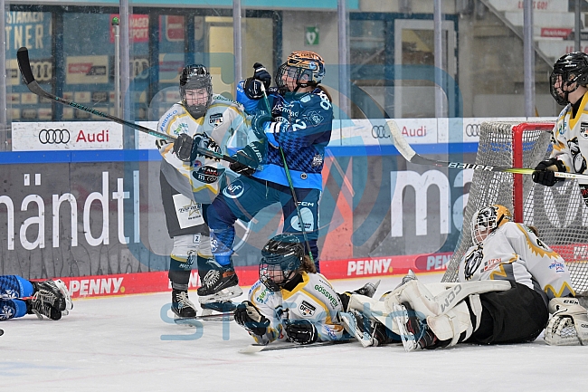 Eishockey, Frauen, DFEL, Saison 2024-2025, ERC Ingolstadt - Mad Dogs Mannheim, 23.11.2024