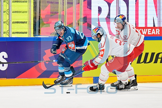 Hockey, Mens, CHL, Season 2025-2026, Regular Season, Round of 16, ERC Ingolstadt - EC Red Bull Salzburg, 12.11.2025