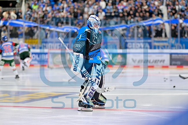Eishockey, Herren, DEL, Saison 2025-2026, Spiel 51, ERC Ingolstadt - Augsburger Panther, 13.03.2026