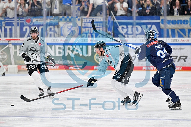 Eishockey, Herren, DEL, Saison 2024-2025, Playoffs Halbfinale, Spiel 5, ERC Ingolstadt - Kölner Haie, 11.04.2025
