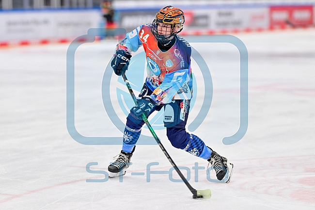 Eishockey, Frauen, DFEL, Saison 2024-2025, ERC Ingolstadt - EC Bergkamener Bären, 05.01.2025
