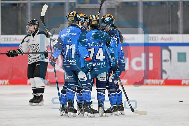 Eishockey, Frauen, DFEL, Saison 2023-2024, ERC Ingolstadt - Amsterdam Tigers, 06.01.2024