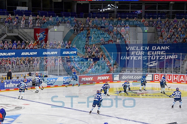 Eishockey, Herren, DEL, Saison 2020-2021, Adler Mannheim - ERC Ingolstadt, 24.01.2021