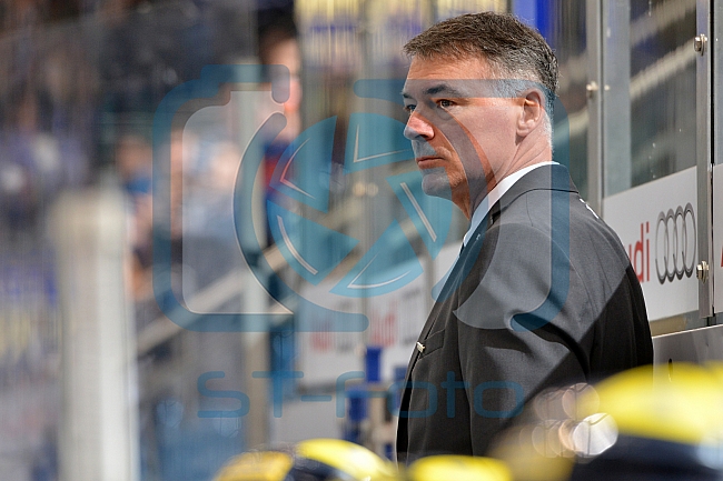 ERC Ingolstadt vs Schwenninger Wild Wings, Eishockey, DEL, Deutsche Eishockey Liga, 22.01.2016