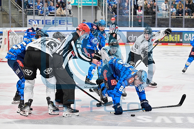Eishockey, Herren, DEL, Saison 2025-2026, Spiel 16, ERC Ingolstadt - Kölner Haie, 31.10.2025