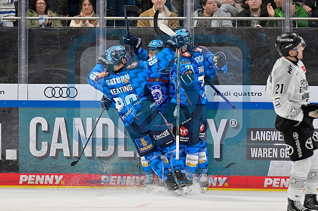 Eishockey, Herren, DEL, Saison 2025-2026, Spiel 16, ERC Ingolstadt - Kölner Haie, 31.10.2025