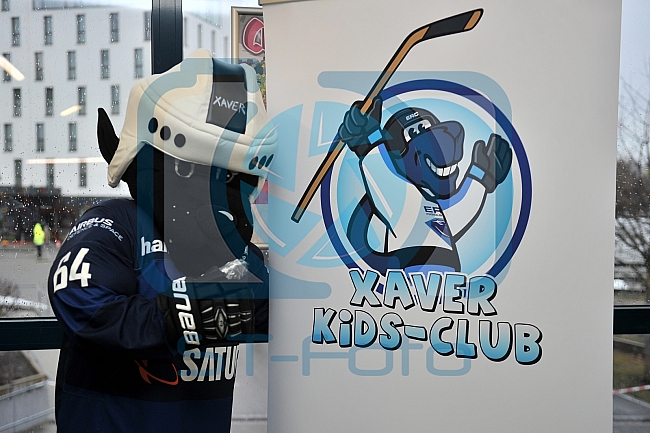 ERC Ingolstadt vs Hamburg Freezers, Eishockey, DEL, Deutsche Eishockey Liga, 10.01.2016