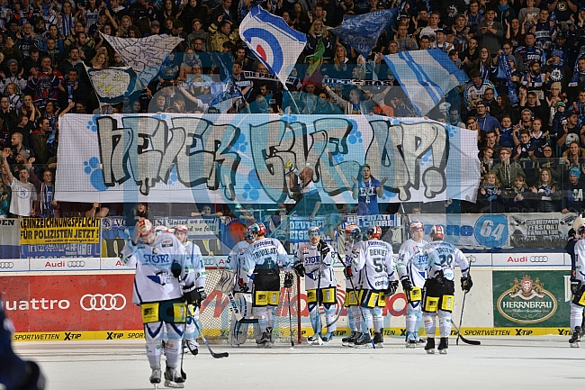 ERC Ingolstadt vs Schwenninger Wild Wings, Eishockey, DEL, Deutsche Eishockey Liga, 20.11.2015