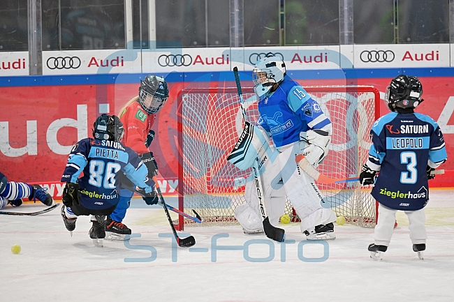 Eishockey, Herren, DEL, Saison 2022-2023, ERC Ingolstadt - Kids On Ice Day, 14.01.2023
