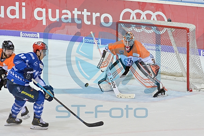 ERC Ingolstadt gegen Grizzlys Wolfsburg Pinguine am 21.12.2018, Spieltag 30