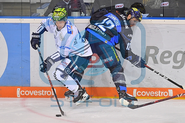 ERC Ingolstadt vs Iserlohn Roosters, Eishockey, DEL, Deutsche Eishockey Liga, Spieltag 22, 27.11.2018