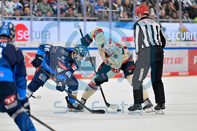 Eishockey, Herren, DEL, Saison 2024-2025, Playoffs Viertelfinale, Spiel 1, ERC Ingolstadt - Nürnberg Ice Tigers, 16.03.2025