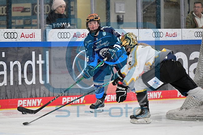 Eishockey, Frauen, DFEL, Saison 2024-2025, ERC Ingolstadt - Mad Dogs Mannheim, 23.11.2024