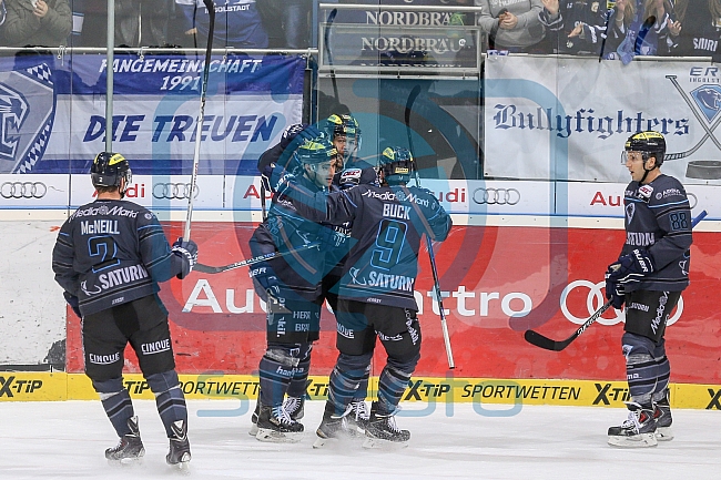 ERC Ingolstadt - Koelner Haie, Eishockey, DEL, Deutsche Eishockey Liga, Spieltag 16, 01.11.2015