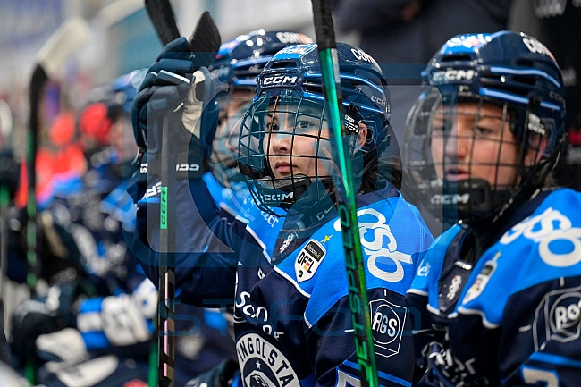 Eishockey, Frauen, DFEL, Saison 2025-2026, ERC Ingolstadt - Eisbären Berlin, 18.01.2026
