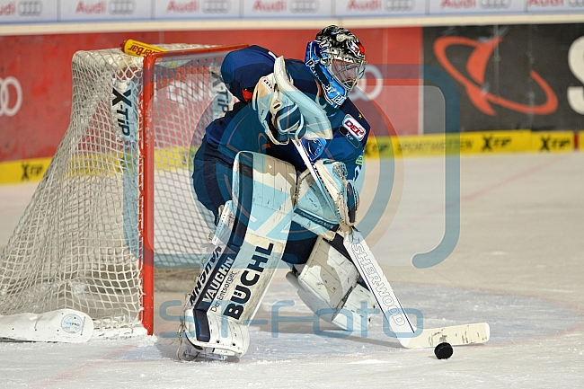 ERC Ingolstadt vs Augsburger Panther, Eishockey, DEL, Deutsche Eishockey Liga, 03.01.2016
