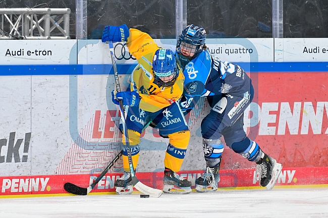 Eishockey, Frauen, DFEL, Saison 2025-2026, Testspiel, ERC Ingolstadt - HC Davos, 14.02.2026