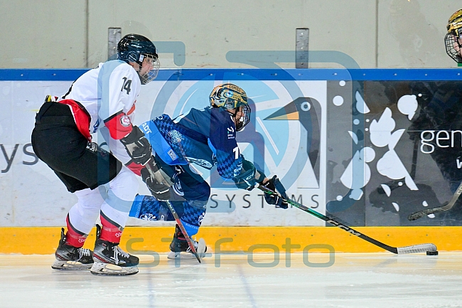 Eishockey, Frauen, DFEL, Saison 2024-2025, ERC Ingolstadt - HK Budapest Roster, 12.01.2025