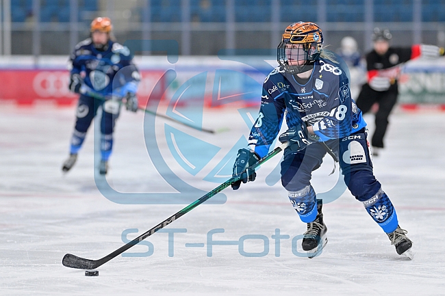 Eishockey, Frauen, DFEL, Saison 2024-2025, ERC Ingolstadt - EC Bergkamener Bären, 04.01.2025