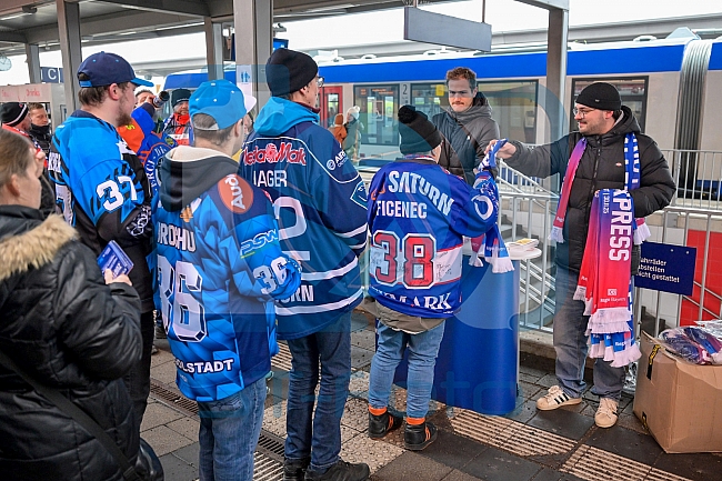 Eishockey, Herren, DEL, Saison 2025-2026, Spiel 24, Nürnberg Ice Tigers - ERC Ingolstadt, 30.11.2025
