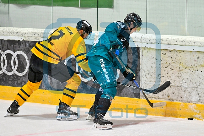 Eishockey, Herren, DEL, Saison 2026-2027, ERC Ingolstadt - HC Verva Litvinov - Steinbach Black Wings Linz, 22.08.2026