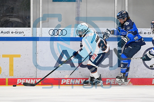 Eishockey, Frauen, DFEL, Saison 2026-2027, ERC Ingolstadt - Eisbären Juniors Berlin, 19.09.2026