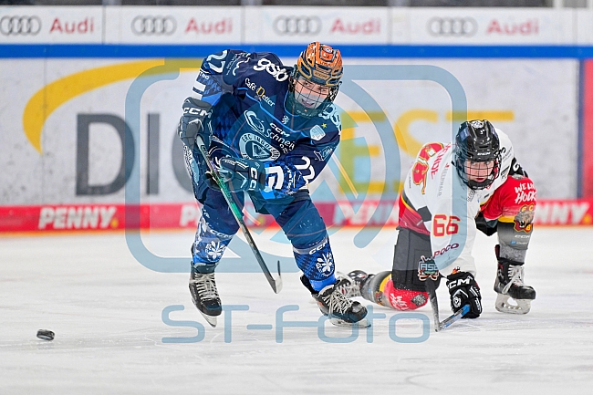 Eishockey, Frauen, DFEL, Saison 2024-2025, ERC Ingolstadt - EC Bergkamener Bären, 05.01.2025