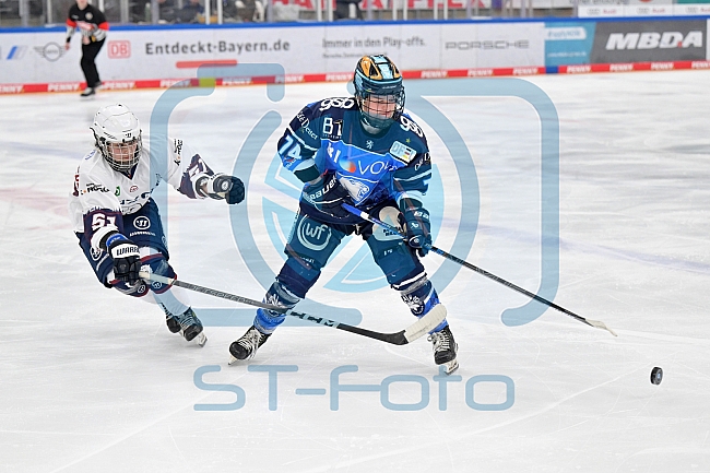 Eishockey, Frauen, DFEL, Playoffs, Saison 2023-2024, ERC Ingolstadt - Eisbären Berlin, 02.03.2024