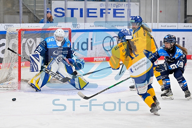 Eishockey, Frauen, DFEL, Saison 2025-2026, Testspiel, ERC Ingolstadt - HC Davos, 14.02.2026