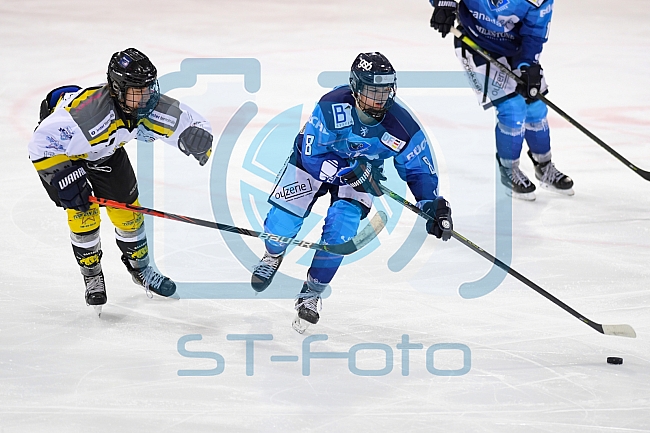 Eishockey, Frauen, DFEL, Saison 2020-2021, ERC Ingolstadt - Mad Dogs Mannheim, 30.01.2021