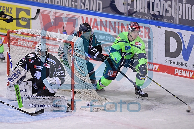 Eishockey, Herren, DEL, Saison 2020-2021, Straubing Tigers - ERC Ingolstadt, 31.01.2021