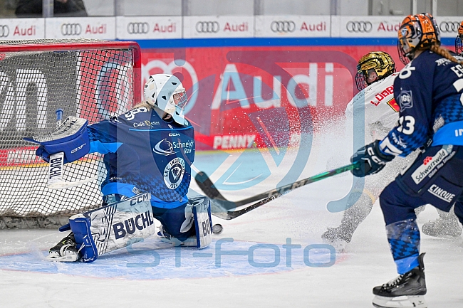 Eishockey, Frauen, DFEL, Saison 2024-2025, ERC Ingolstadt - EC Bergkamener Bären, 05.01.2025