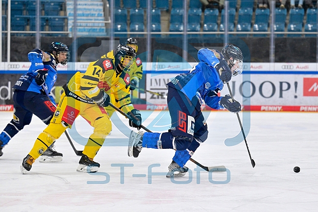 Eishockey, U20, DNL, Saison 2024-2025, ERC Ingolstadt - Krefelder EV 81, 01.03.2025