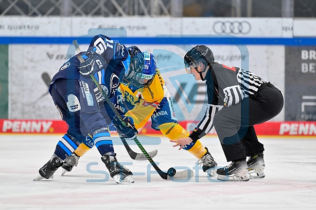 Eishockey, Frauen, DFEL, Saison 2025-2026, Testspiel, ERC Ingolstadt - HC Davos, 14.02.2026
